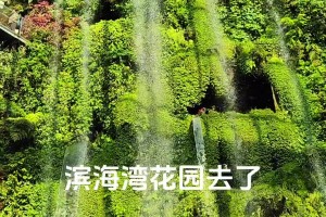 去新加坡旅游，可以順便逛逛這些景點(diǎn)